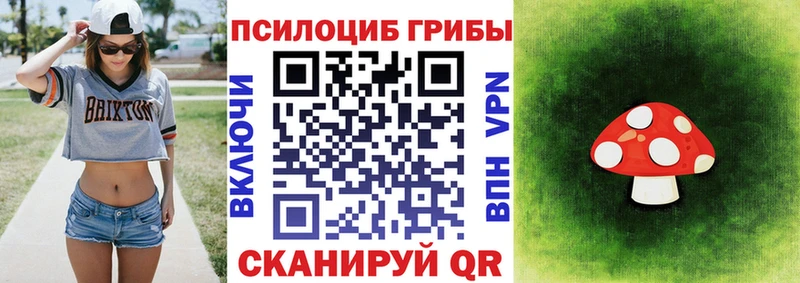 Псилоцибиновые грибы Magic Shrooms  Дмитров 