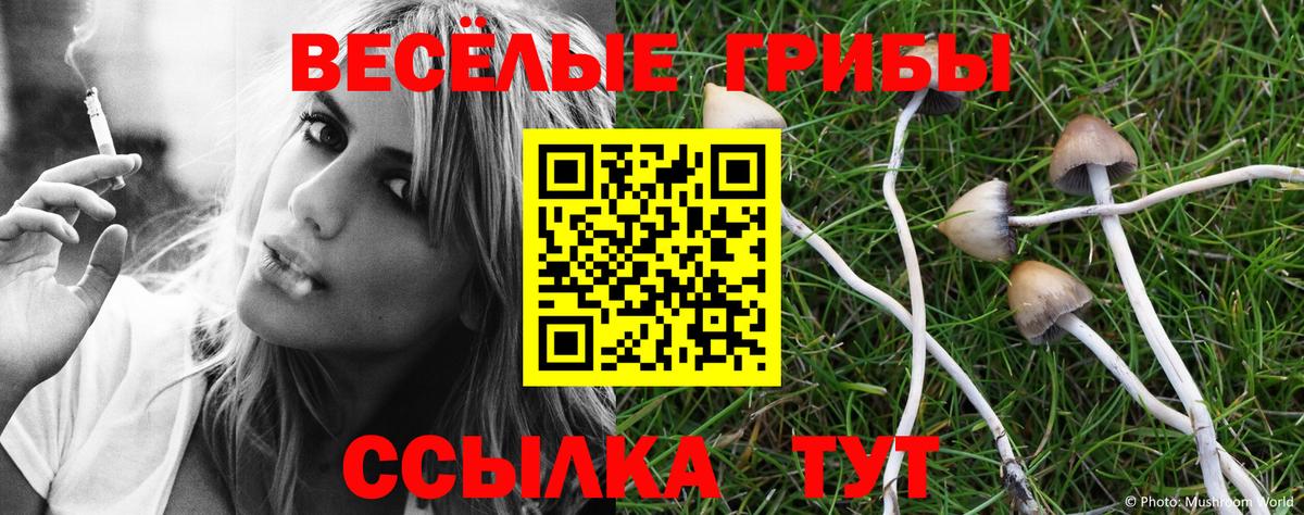 Псилоцибиновые грибы ЛСД  Псилоцибиновые грибы ЛСД  Вход с VPN  Дмитров 