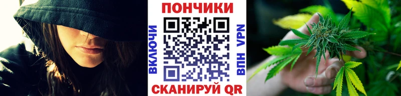 Конопля ГИДРОПОН  дарнет шоп  Дмитров 